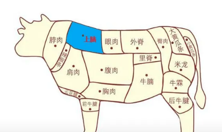 牛上脑位于牛的哪个部位（附牛全图）