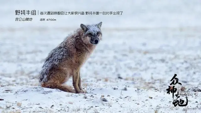 B站纪录片《众神之地》到底有多牛？