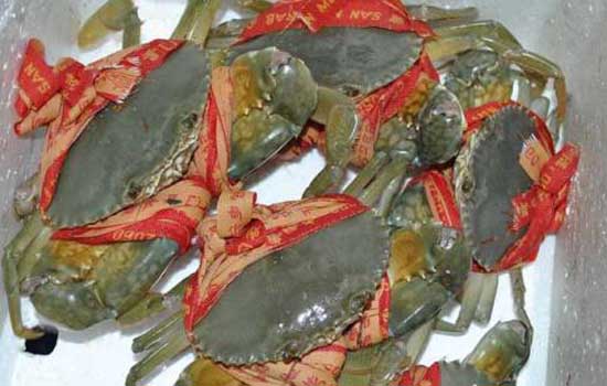 青蟹里面黑色的膏是什么？能吃吗