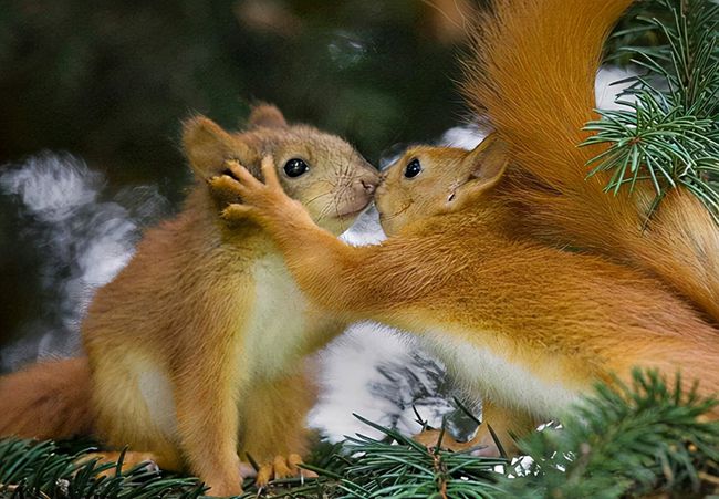 老司机教你7个接吻技巧让她轻松爱上你