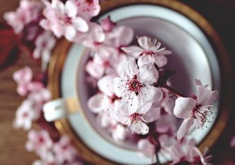 感恩节你对妈妈说什么？感恩节最想对父母说的话