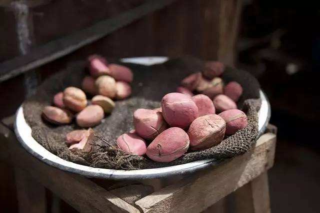 可乐果是做可乐的吗