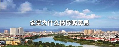 金堂为什么被称为贩毒县？