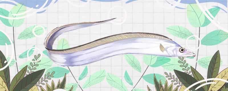 带鱼可以养在鱼缸里吗,可以养在淡水里吗?