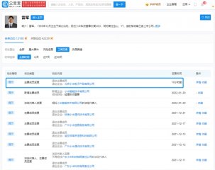 雷军卸任小米电子公司董事长