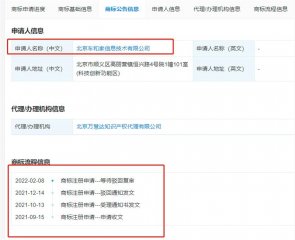 理想汽车申请的元宇宙商标申请被驳回