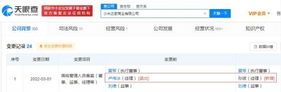 小米之家卢伟冰卸任其商业公司职务