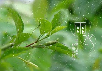 24节气中的雨水是几月几日