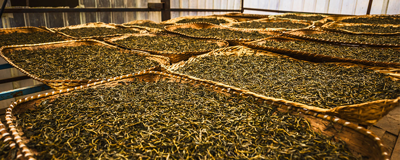 老曼峨普洱茶好喝吗？有什么特点