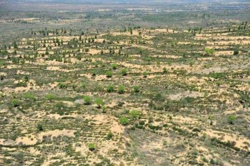 中国第一个即将消失的沙漠叫什么？是怎么做到的