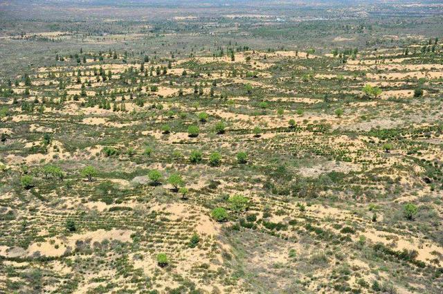 中国第一个即将消失的沙漠叫什么