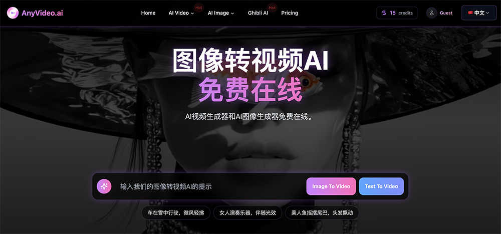 AnyVideo：一款将图片或文本转换为动态视频内容的AI视频创作工具