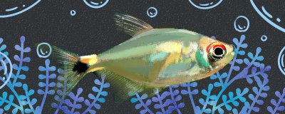 头尾灯鱼凶吗，它能咬鱼吗？