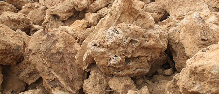 砂积石 砂积石,造景材料,养鱼设备