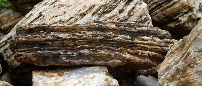 千层石,养鱼设备