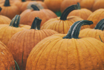 切好的南瓜放久了还能吃吗？