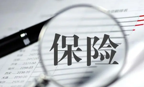 重疾险,人寿保险