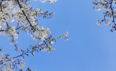 2022五一劳动节是放三天还是五天？