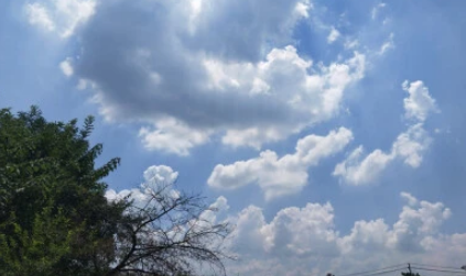 清明过后天气逐渐怎么样