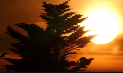 2022三伏天需要禁欲吗？