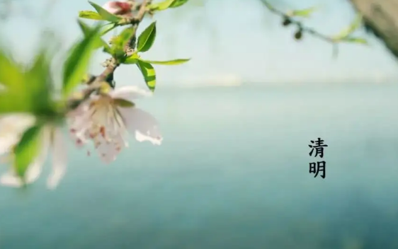 清明节有哪些禁忌?