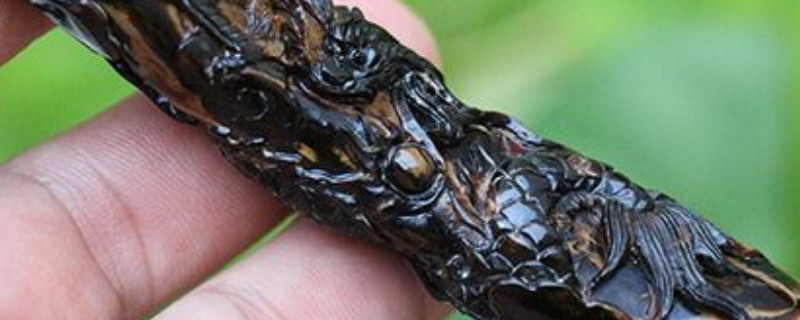 血柳是什么？如何辨别真假?