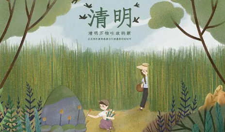 为什么2022上海扫墓预约平台预约不成功?