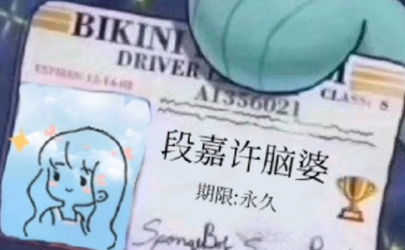 网络术语段嘉许是什么梗