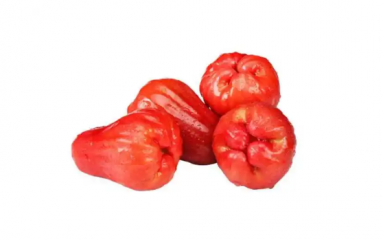 莲雾怎么保存时间长