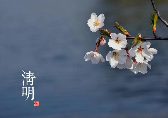 清明节上坟上午还是下午好