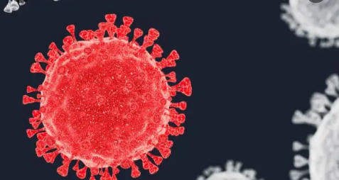 奥密克戎病毒怕冷还是怕热