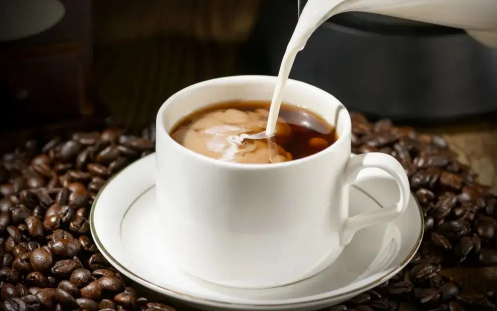 困的时候喝咖啡还是喝茶