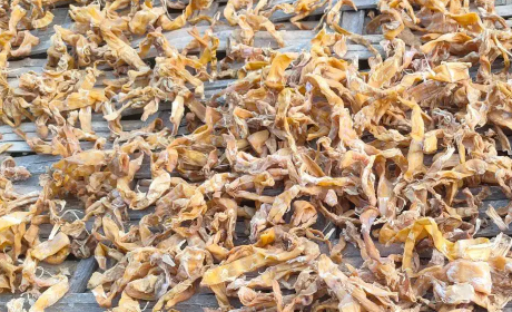 笋干上面的白色的东西是什么