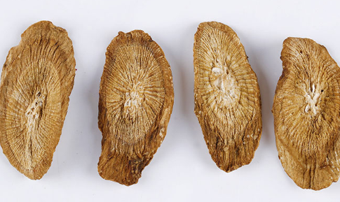 牛蒡茶什么时候喝最好