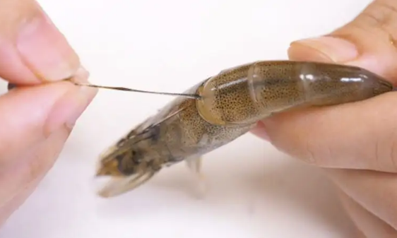 虾线不去除可以吃吗