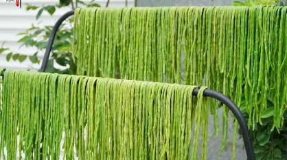 晒干的豆角有营养吗