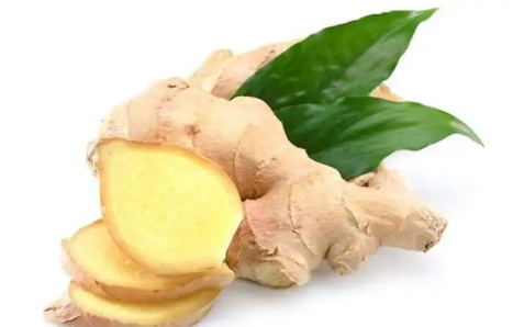 怎么预防生姜发芽变绿