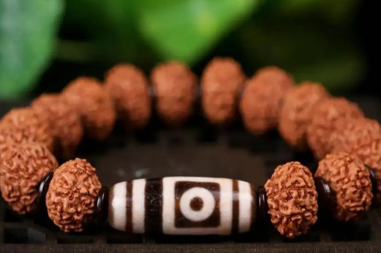 金刚菩提到底是什么材质的