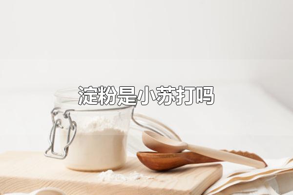 淀粉和小苏打是同一类东西吗