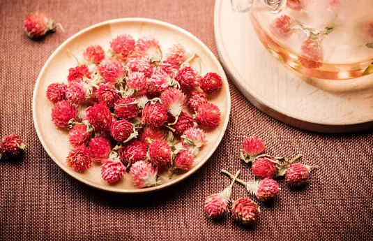 红乃梅茶是寒性还是温性