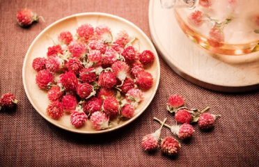 红乃梅茶是寒性还是温性