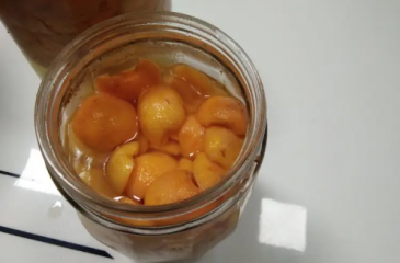 泡枇杷酒要不要去皮