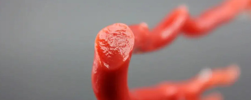 真品红珊瑚都具备哪些特征