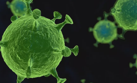 猴痘病毒怎么预防