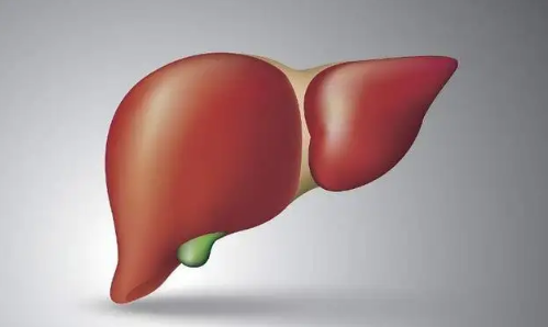 为什么肝癌治好了也活不长