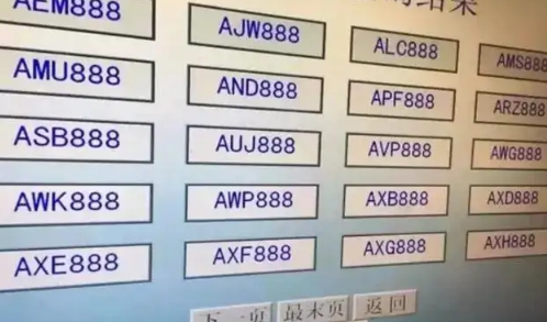 上牌后车牌号可以换吗