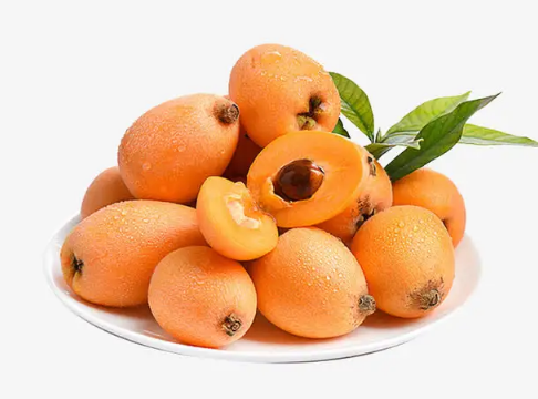 枇杷膏治什么样的咳嗽