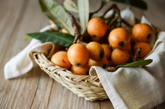 枇杷膏怎么吃治咳嗽