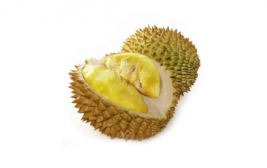 榴莲肉冷冻最长可以保存多久