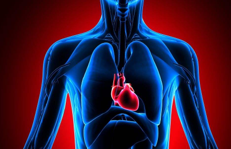 长期跑步的人为什么心脏不早搏